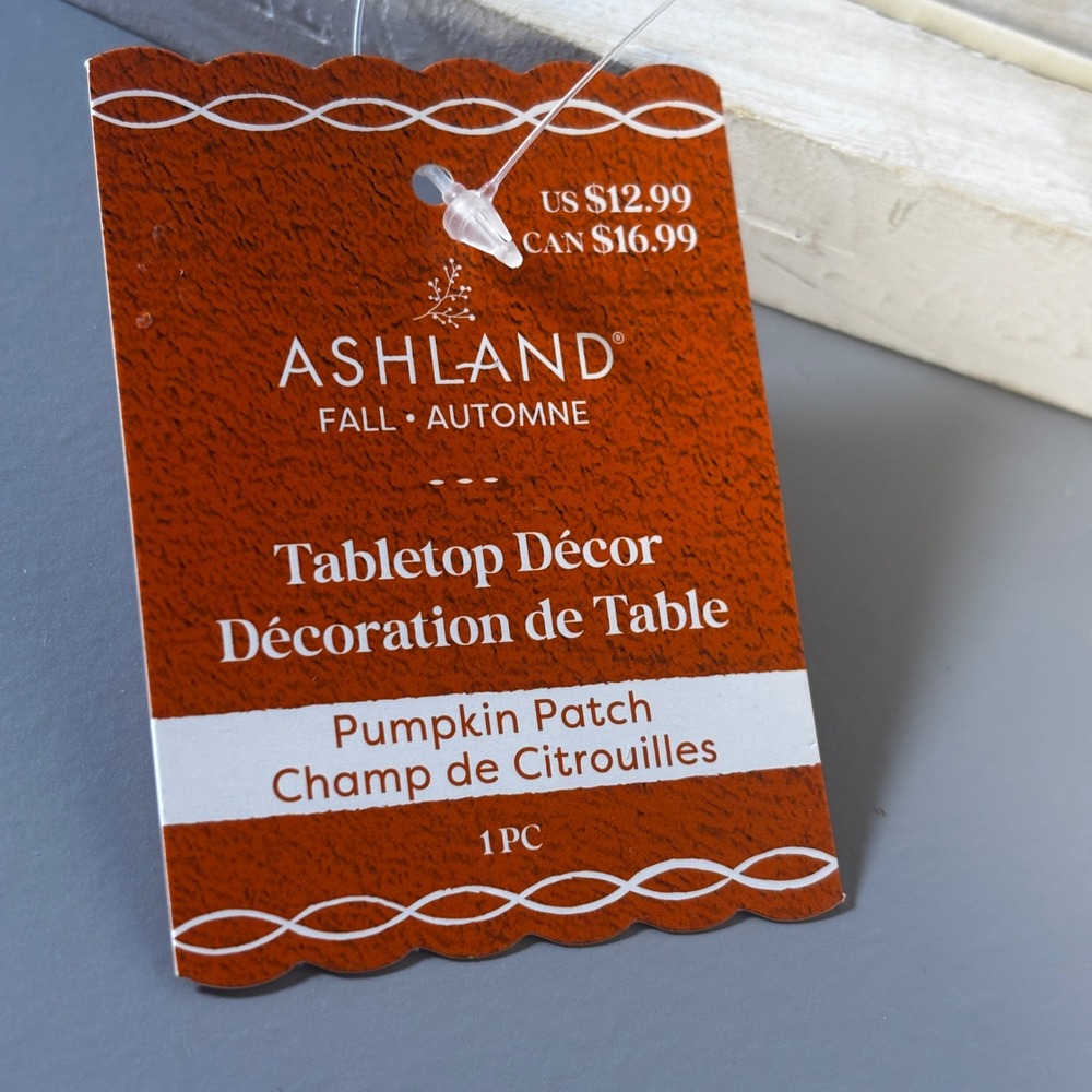 Ashland Thankful Tabletop Decor Pumpkin Patch Fall Autumn Decoration - Picture 4 of 7